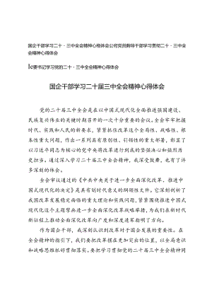 国企干部、公司党员、纪委书记学习二十届三中全会精神心得体会.docx
