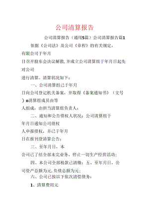 公司清算报告.docx