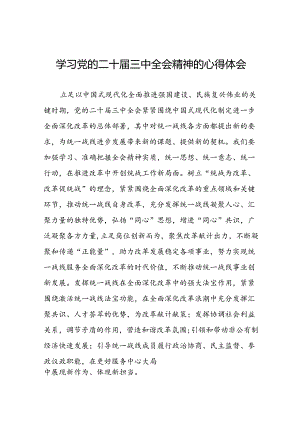 学习党的二十届三中全会精神的心得体会精品发言稿三十六篇.docx