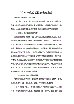 2024年度巡视整改表态发言.docx