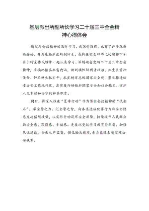 基层派出所副所长学习二十届三中全会精神心得体会.docx