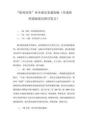 “斩尾攻坚”补齐基层党建短板（市委组织部副部长研讨发言）.docx