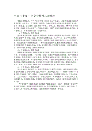 学习二十届三中全会精神心得感悟 (4).docx