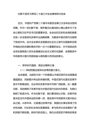妇联系统党员干部学习贯彻二十届三中全会精神研讨发言心得体会.docx