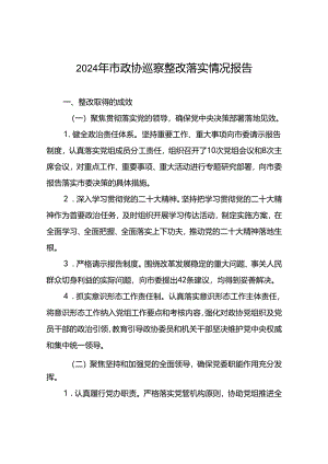 市政协2024年巡察整改落实情况报告.docx