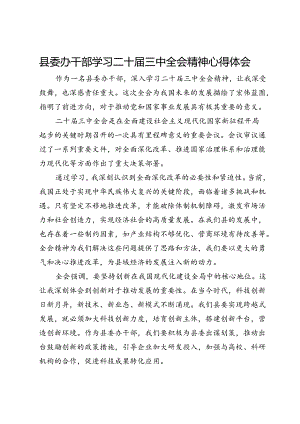 县委办干部学习二十届三中全会精神心得体会.docx