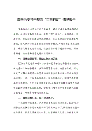 公安推进夏季治安打击整治“百日行动”总结十六篇.docx