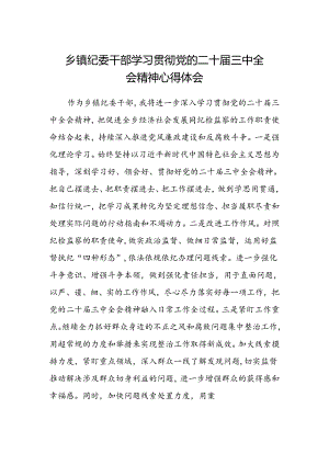 乡镇纪委干部学习贯彻党的二十届三中全会精神心得体会.docx