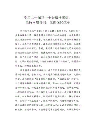 学习二十届三中全会精神感悟：坚持问题导向全面深化改革.docx