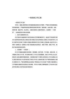 一岗双责工作汇报.docx