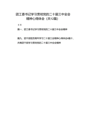 团工委书记学习贯彻党的二十届三中全会精神心得体会12篇（精选）.docx