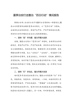 四篇派出所2024年夏季治安打击整治专项工作总结.docx