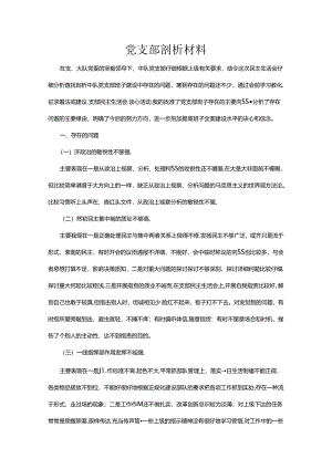党支部剖析材料及整改措施.docx