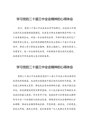 学习党的二十届三中全会精神的心得感悟简短发言四十篇.docx