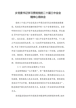 乡党委书记学习贯彻党的二十届三中全会精神心得体会 .docx