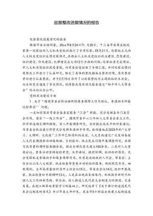 巡察整改进展情况的报告.docx