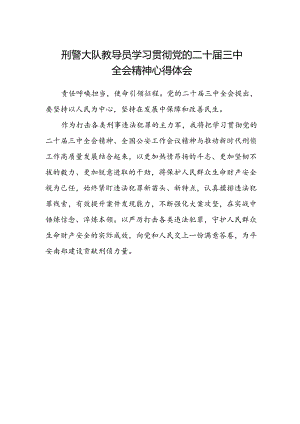 刑警大队教导员学习贯彻党的二十届三中全会精神心得体会.docx