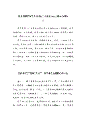 基层团干部学习贯彻党的二十届三中全会精神心得体会精选五篇通用.docx