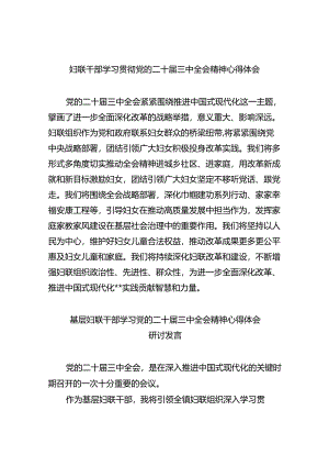 妇联干部学习贯彻党的二十届三中全会精神心得体会8篇（详细版）.docx