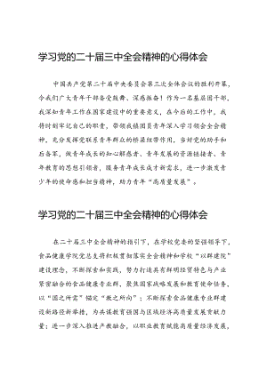 学习贯彻2024年二十届三中全会精神心得体会模板50篇.docx