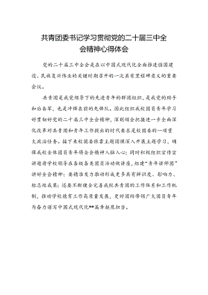 共青团委书记学习贯彻党的二十届三中全会精神心得体会.docx