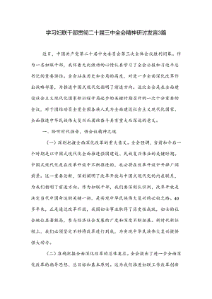 学习妇联干部贯彻二十届三中全会精神研讨发言3篇.docx