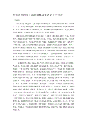 在新晋升职级干部任前集体谈话会上的讲话.docx