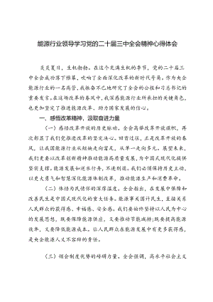 2024年能源行业领导学习党的二十届三中全会精神心得体会感悟.docx
