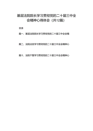 基层法院院长学习贯彻党的二十届三中全会精神心得体会12篇专题资料.docx
