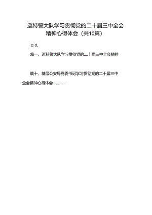 巡特警大队学习贯彻党的二十届三中全会精神心得体会10篇（详细版）.docx
