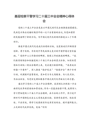 基层检察干警学习二十届三中全会精神心得体会.docx
