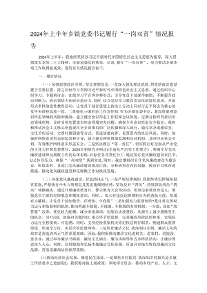2024年上半年乡镇党委书记履行“一岗双责”情况报告.docx