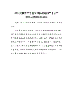 基层法院青年干警学习贯彻党的二十届三中全会精神心得体会.docx