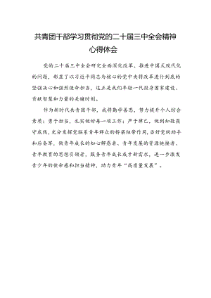 共青团干部学习贯彻党的二十届三中全会精神心得体会.docx