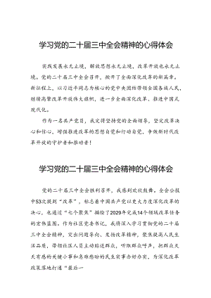 学习党的二十届三中全会精神的心得感悟发言材料四十四篇.docx