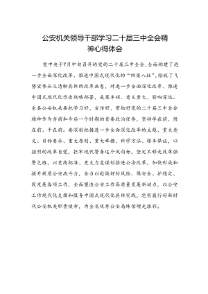 公安机关领导干部学习二十届三中全会精神心得体会.docx