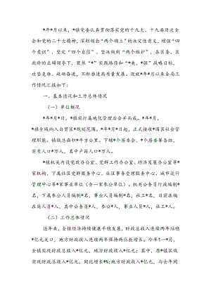 乡镇向巡察组的工作汇报.docx