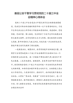 基层公安干警学习贯彻党的二十届三中全会精神心得体会.docx
