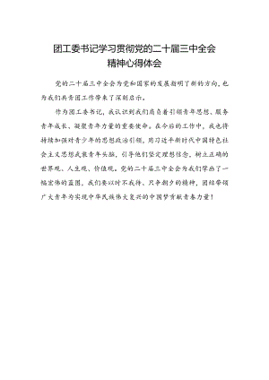 团工委书记学习贯彻党的二十届三中全会精神心得体会.docx