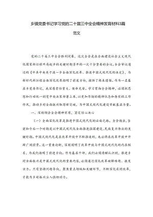 乡镇党委书记学习党的二十届三中全会精神发言材料3篇范文.docx