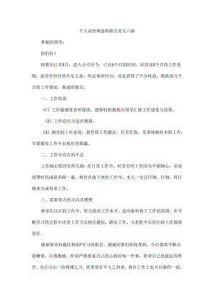 个人试用期述职报告范文六篇.docx