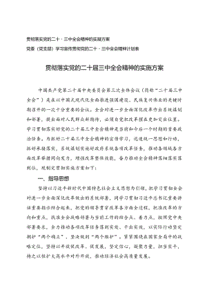 4篇 2024年贯彻落实党的二十届三中全会精神的实施方案+党委(党支部)学习宣传党的二十届三中全会精神计划表.docx
