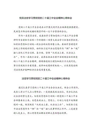 党员法官学习贯彻党的二十届三中全会精神心得体会5篇供参考.docx