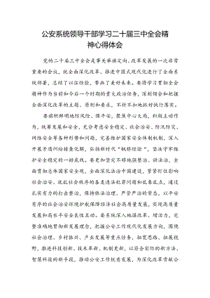 公安系统领导干部学习二十届三中全会精神心得体会.docx