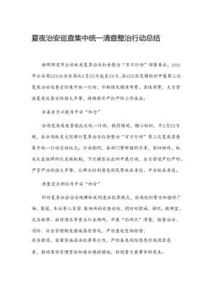 夏夜治安巡查集中统一清查整治行动总结.docx