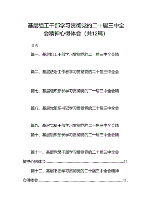 基层组工干部学习贯彻党的二十届三中全会精神心得体会12篇（最新版）.docx