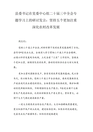 县委书记在党委中心组二十届三中全会专题学习上的研讨发言.docx