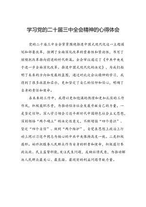 学习领会党的二十届三中全会精神心得体会模板三十篇.docx