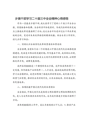乡镇干部学习二十届三中全会精神心得体会发言.docx
