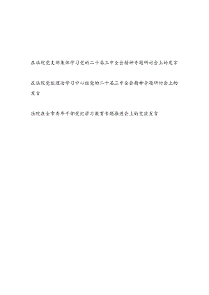 在法院党支部集体学习党纪和党的二十届三中全会精神专题研讨会上的发言.docx